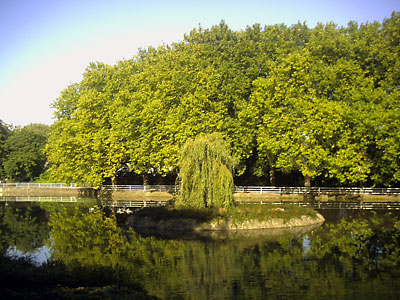 Gondelteich in der Herbstsonne